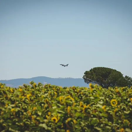 Corte Degli Angeli Alloggio per agriturismo Marina di Grosseto