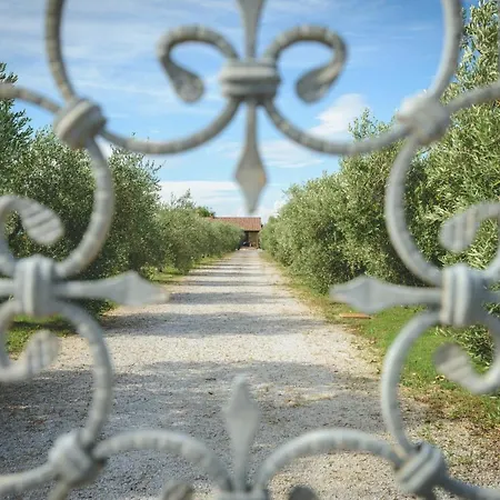 Corte Degli Angeli Alloggio per agriturismo