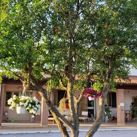 Corte Degli Angeli Alloggio per agriturismo *