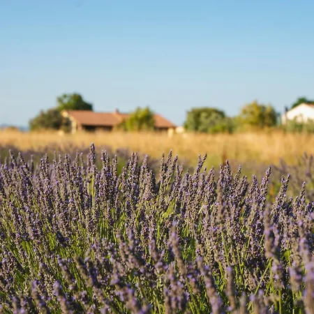 Séjour à la ferme Corte Degli Angeli Marina di Grosseto