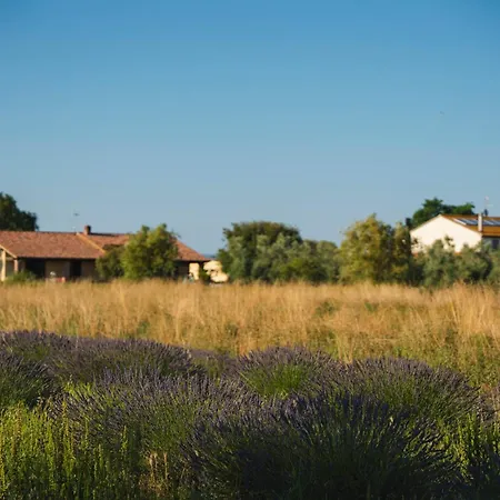 Séjour à la ferme Corte Degli Angeli