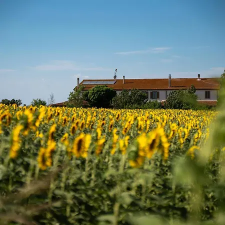 Séjour à la ferme Corte Degli Angeli Marina di Grosseto