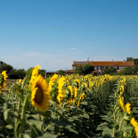 Corte Degli Angeli Séjour à la ferme *