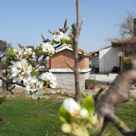 Corte Degli Angeli Alloggio per agriturismo