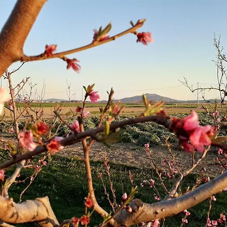 Alloggio per agriturismo Corte Degli Angeli Marina di Grosseto