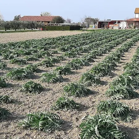 Alloggio per agriturismo Corte Degli Angeli