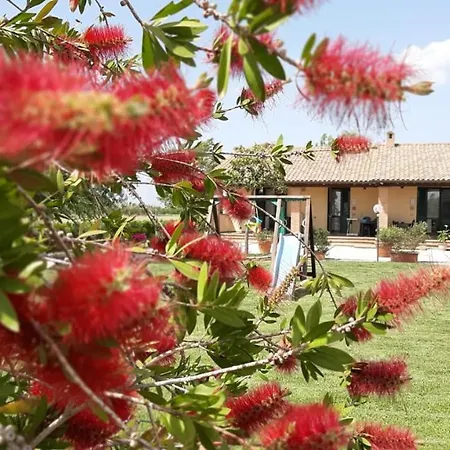 Alloggio per agriturismo Corte Degli Angeli Marina di Grosseto