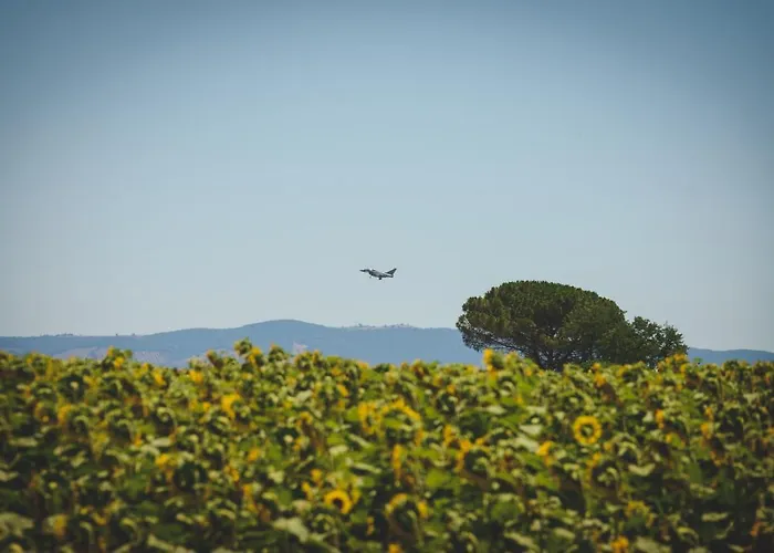 Corte Degli Angeli Séjour à la ferme Marina di Grosseto