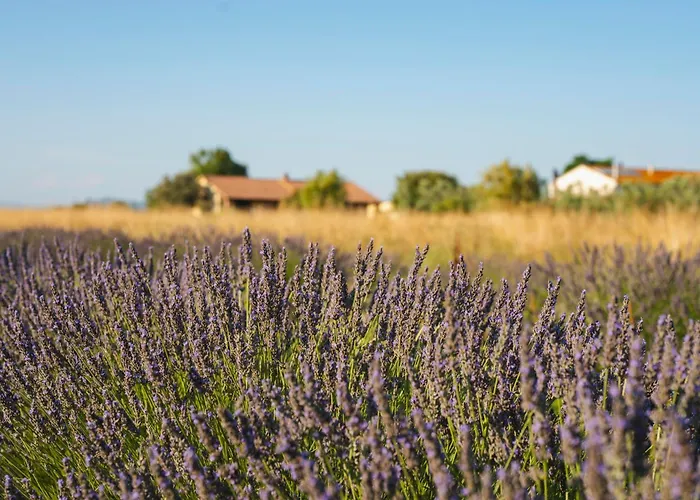Séjour à la ferme Corte Degli Angeli Marina di Grosseto