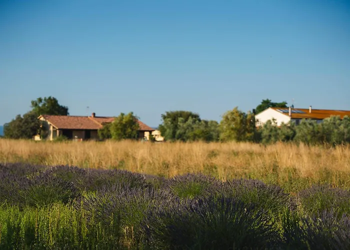 Séjour à la ferme Corte Degli Angeli