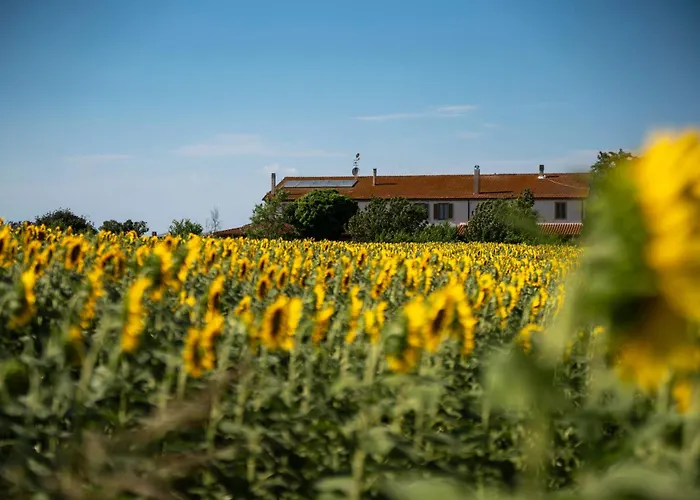 Séjour à la ferme Corte Degli Angeli Marina di Grosseto