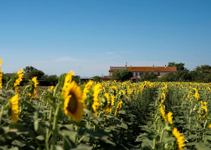 Corte Degli Angeli Séjour à la ferme *