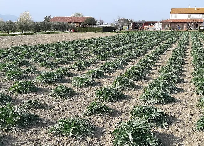 Séjour à la ferme Corte Degli Angeli